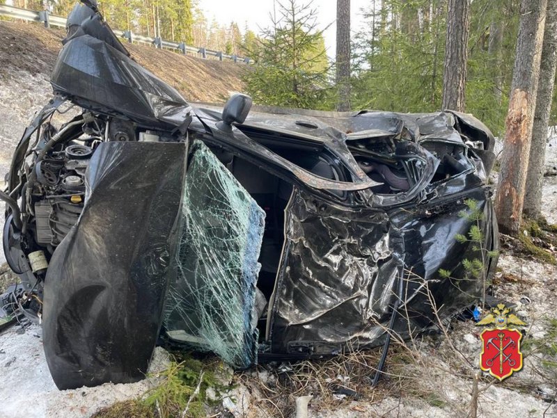 В аварии на трассе А-181 Скандинавия в Ленобласти пострадали женщина и трое детей
