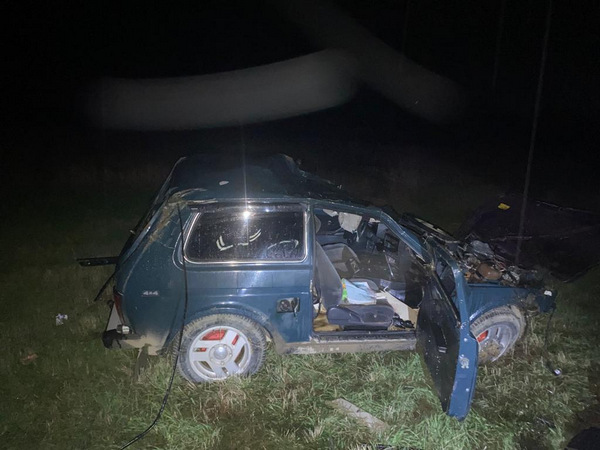 На Ставрополье водитель погиб в ДТП с коровой