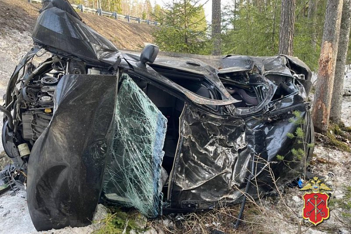 В аварии на трассе А-181 Скандинавия в Ленобласти пострадали женщина и трое детей