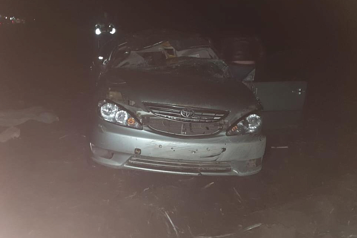 Двое пострадали в аварии на трассе М-4 Дон в Воронежской области