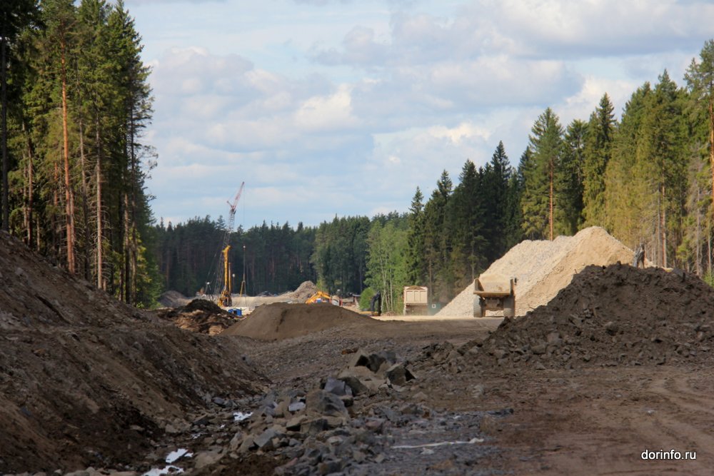 При строительстве первого этапа обхода Нижнекамска и Набережных Челнов в Татарстане высадят 155 тыс. деревьев