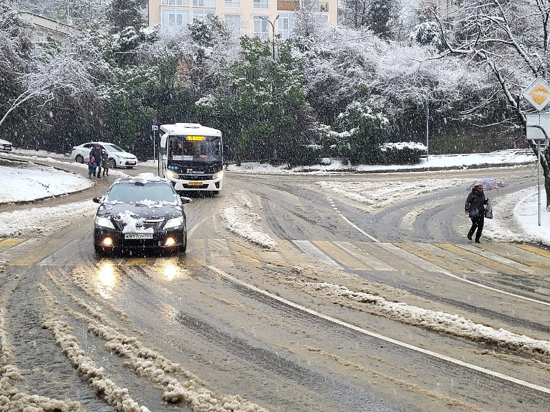 Снегопад в Сочи: уборка дорог, ограничение движения, поваленные деревья