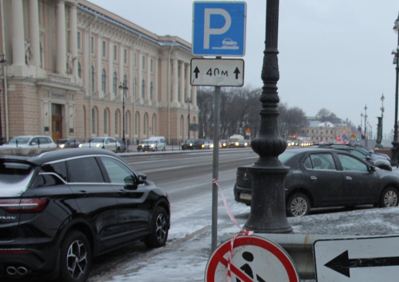 С 1 июля парковка станет платной в Петроградском районе Петербурга