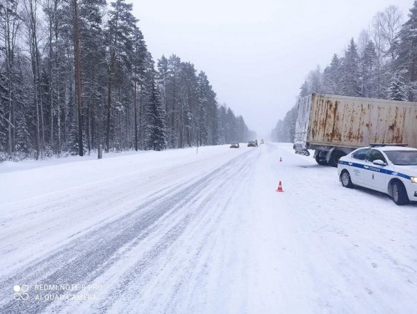 Пассажирка иномарки погибла в аварии на трассе Р-21 Кола в Карелии