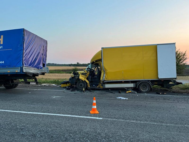 Двое погибли в ночном ДТП с грузовиками на трассе в Ростовской области