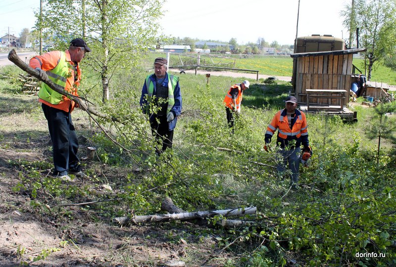 Вдоль развязки у Ленинградского моста в Омске высадят деревья и кустарники