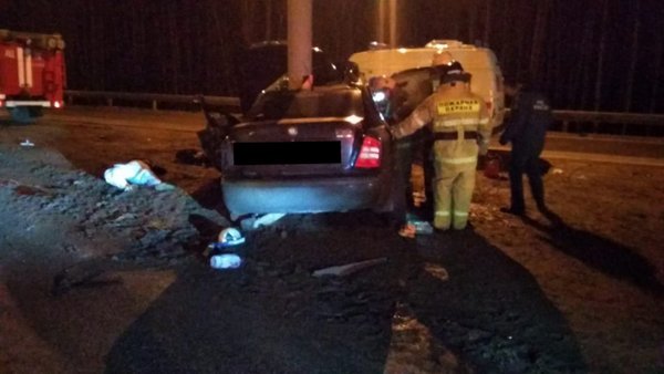 В аварии на трассе М-4 Дон в Липецкой области погибли двое детей и двое взрослых