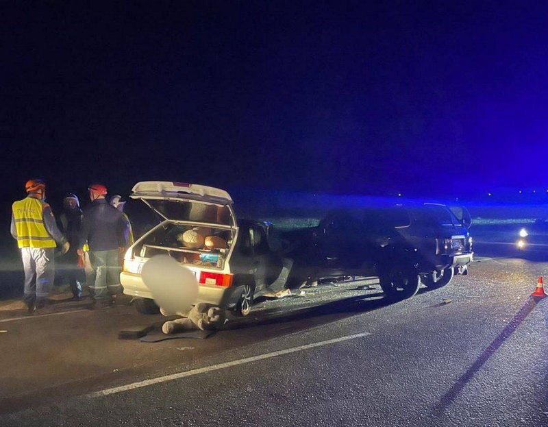 Два человека погибли в аварии на трассе Крымск – Джигинка на Кубани Два человека погибли в аварии на трассе Крымск – Джигинка на Кубани