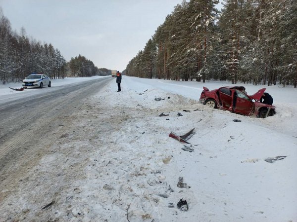 Водитель легковой иномаркой погиб в аварии с фургоном в Архангельской области
