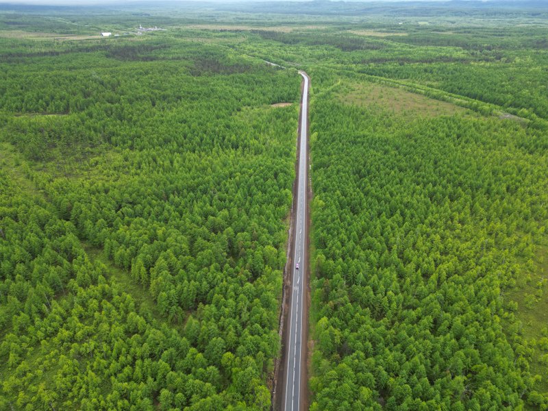 Порядка 17 км трассы А-393 в Сахалинской области до конца года переведут в асфальтобетон