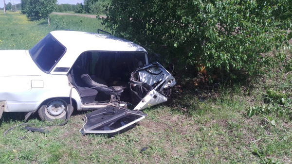 ВАЗ врезался в дерево в Омской области: погиб пассажир