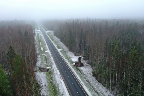 В этом году обновили более 90 км федеральных трасс в Архангельской области
