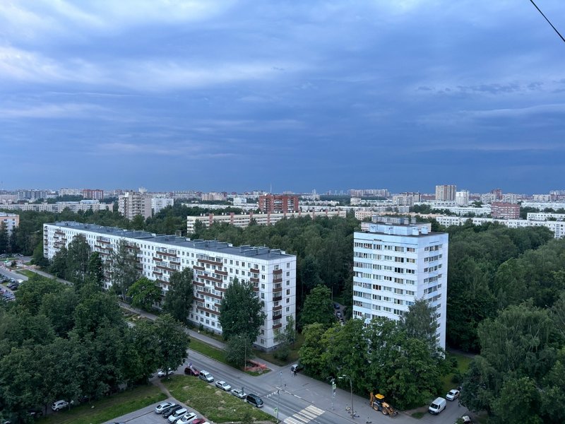 Штормовой ветер повалил деревья и знаки на дороги Петербурга Штормовой ветер повалил деревья и знаки на дороги Петербурга