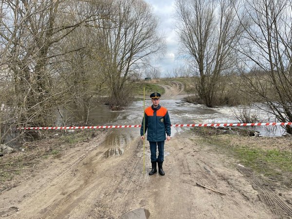Три моста подтоплены в Орловской области