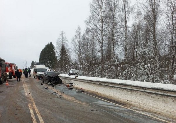 Смертельная авария ограничила движение на трассе А-114 в Ленобласти