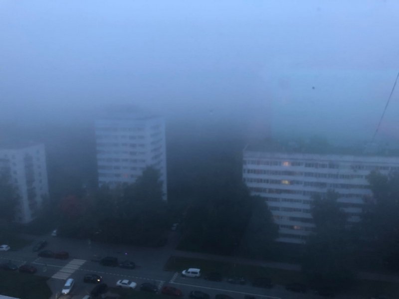 ГИБДД Москвы предупреждает о плохой видимости на дорогах из-за тумана