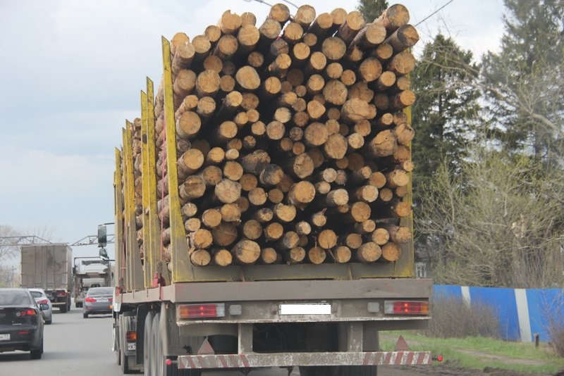 Ограничения на дорогах Коми в межсезонье не коснутся перевозок готовой лесопродукции