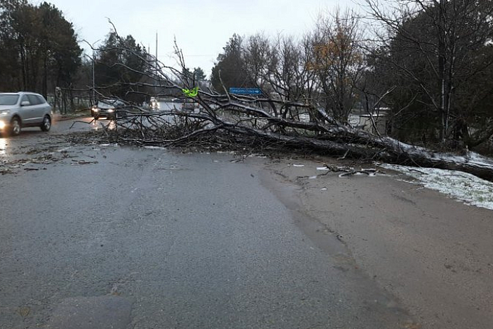 Стихия в Крыму: в регионе подтоплены дороги, повалены деревья и оборваны ЛЭП