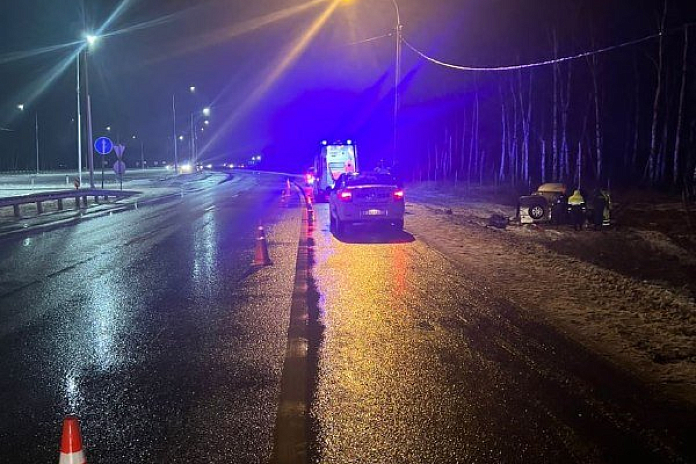 В аварии на трассе М-4 Дон в Воронежской области погиб 22-летний пассажир иномарки