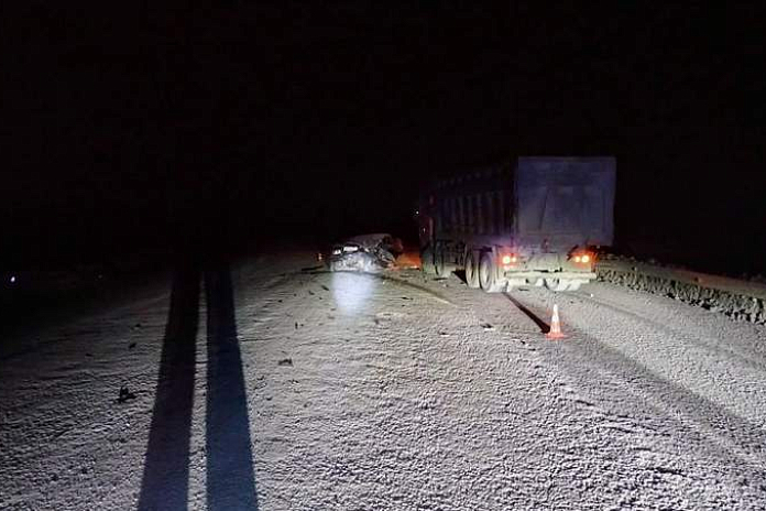 Водитель ВАЗа погиб в ночном ДТП с грузовиком в Новосибирской области
