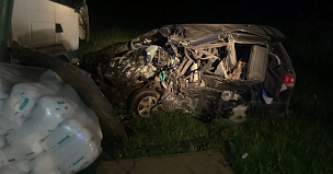Водитель и пассажирка легковушки погибли в ДТП с грузовиком на трассе Р-254 Иртыш в Омской области