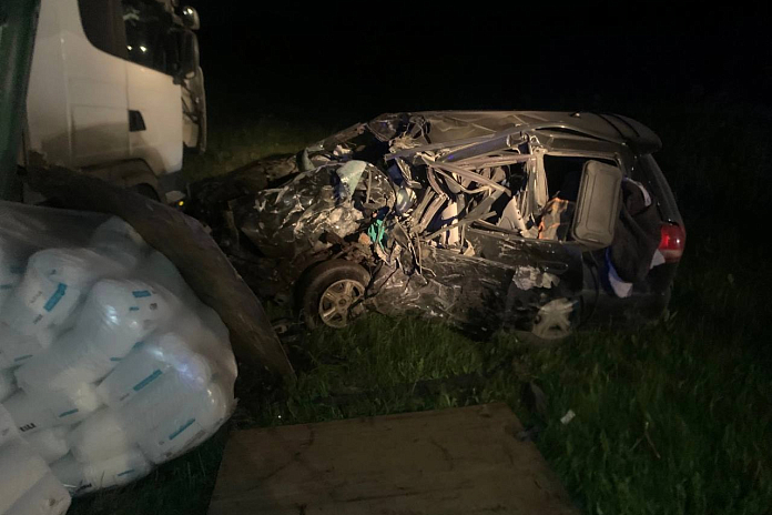 Водитель и пассажирка легковушки погибли в ДТП с грузовиком на трассе Р-254 Иртыш в Омской области