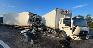 В аварии с грузовиками на трассе М-4 Дон в Воронежской области пострадали двое
