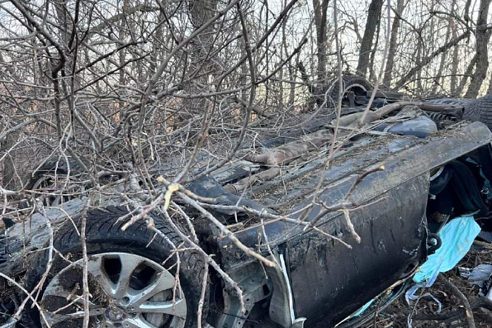 При опрокидывании иномарки с трассы в Воронежской области погибли два человека