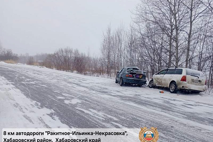 Водитель иномарки погиб в ДТП на встречной полосе под Хабаровском