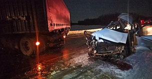 Двое погибли в аварии на трассе Р-254 Иртыш в Омской области