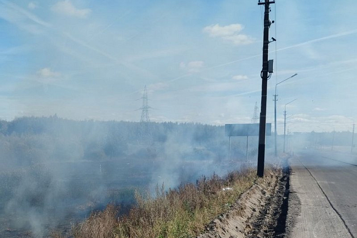 Дорожники потушили природный пожар возле трассы М-7 Волга во Владимирской области
