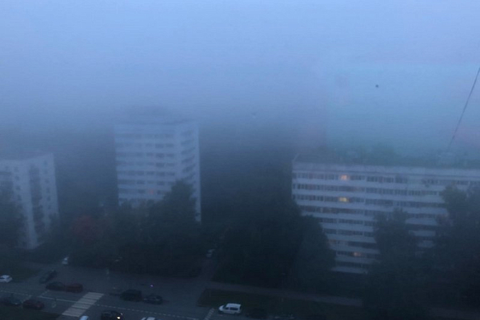 Автомобилистов Москвы предупреждают о тумане ночью и утром 25 мая