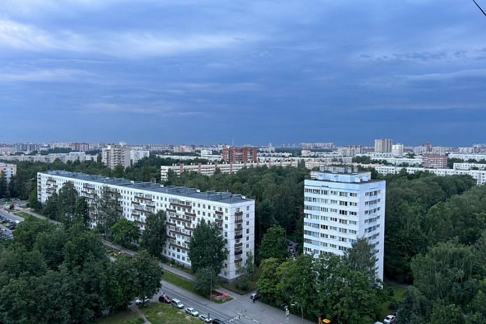 Штормовой ветер повалил деревья и знаки на дороги Петербурга
