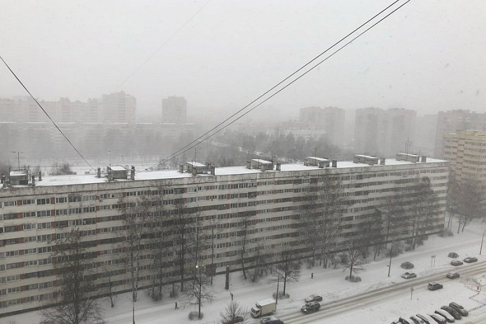 Спасатели предупреждают об усилении ветра в Петербурге до 17 м/с