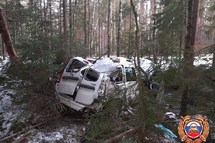 Легковушка въехала в дерево в Тверской области: водитель и пассажирка погибли