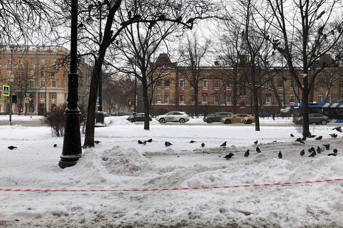 Спасатели предупреждают о сильном ветре и гололеде на дорогах в Петербурге