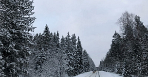 Водителей предупреждают о морозах и тумане на трассе А-360 Лена в Приамурье и Якутии